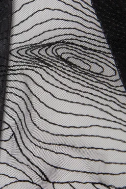 Brasiliano Hypnotic Details