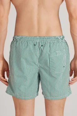 Zwemboxer met Groene Streepjesprint